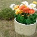Цветник КАНЬОН купить в Нижнем Тагиле